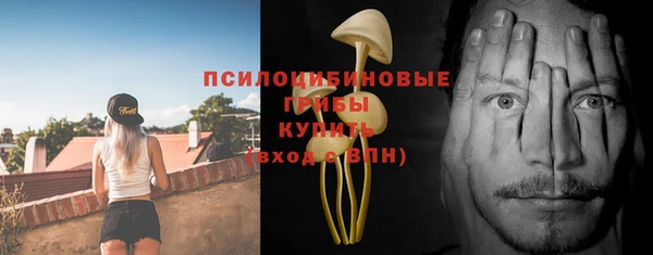 кокаин премиум Богородицк