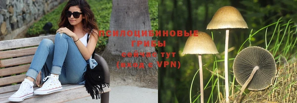 прущие крисы Бронницы